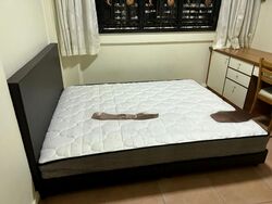 Blk 814 Tampines Polyview (Tampines), HDB 4 Rooms #627490241